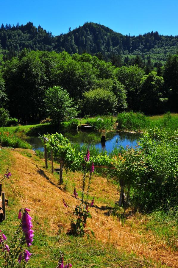 Lucky Mud Inn And Disc Golf Resort Skamokawa Bagian luar foto